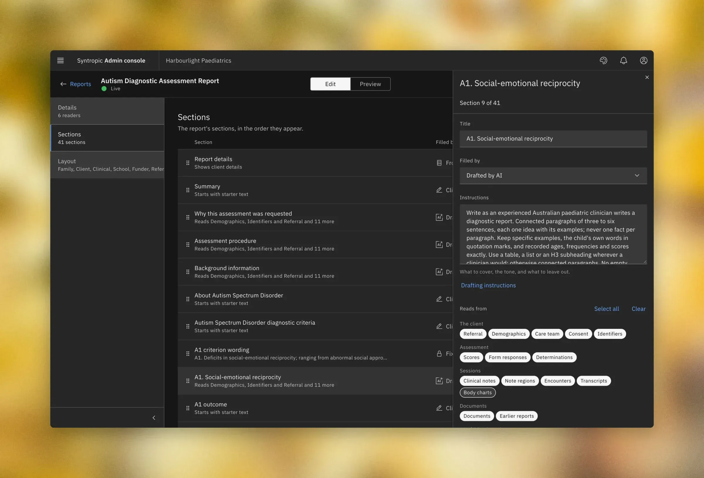 Instructions for a report section the AI drafts